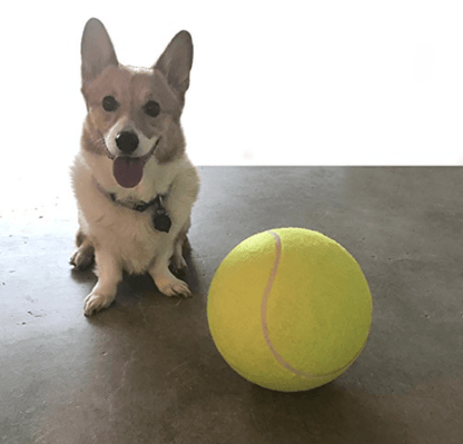 Giant Tennis Ball Toy for Pets 9.5" (24cm) - PetsLoveStory®