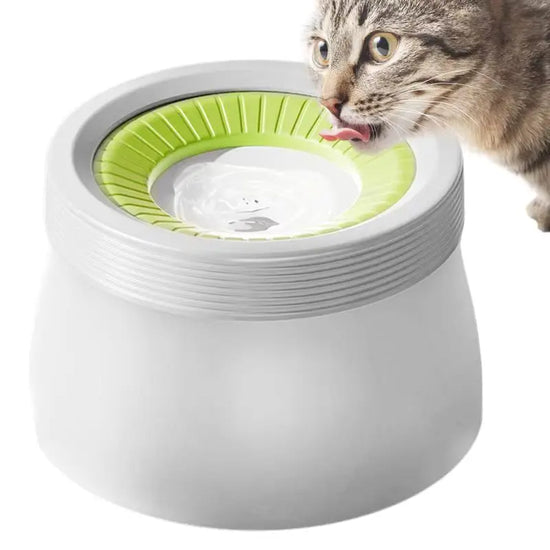 Dog Water Bowl - PetsLoveStory®