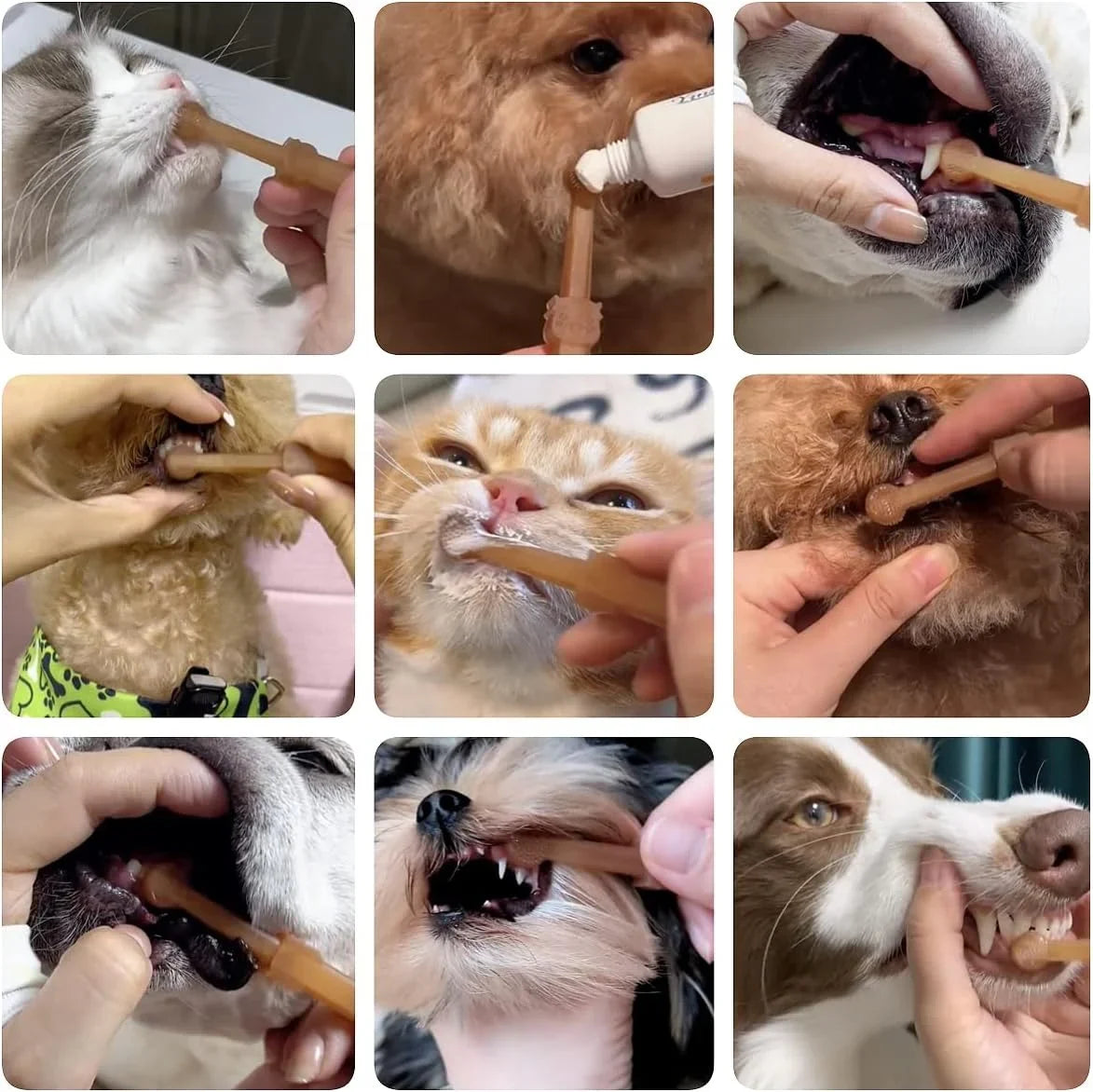 Pet Toothbrush, Pet Silicone Toothbrush Cat & Dog Tooth Brushing Kit with Storage Cup - PetsLoveStory®