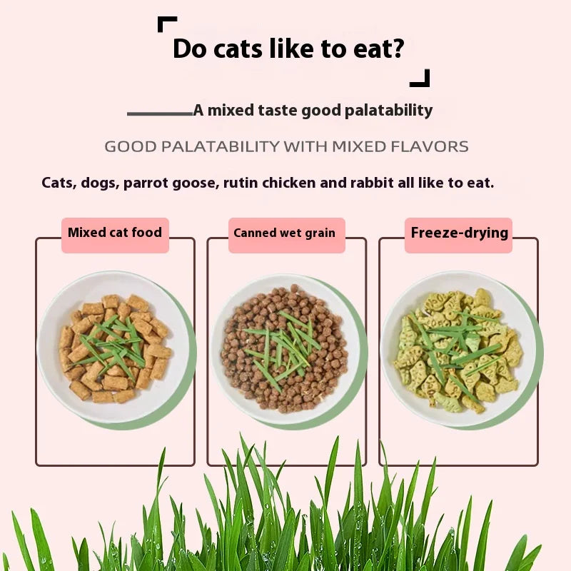 Organic Cat Grass - PetsLoveStory®