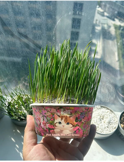 Organic Cat Grass - PetsLoveStory®