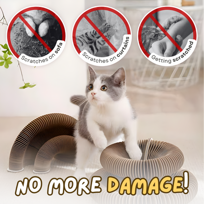 Cat Ball Toy - PetsLoveStory®