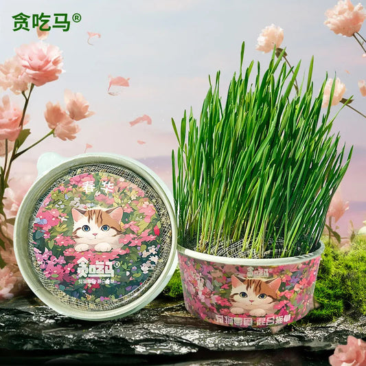 Organic Cat Grass - PetsLoveStory®