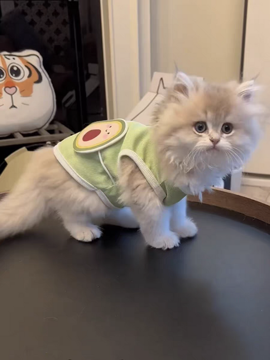 Avocado Summer Cool Vest - PetsLoveStory®