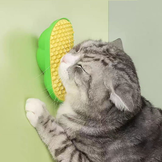Scratcher with a mint ball - PetsLoveStory®