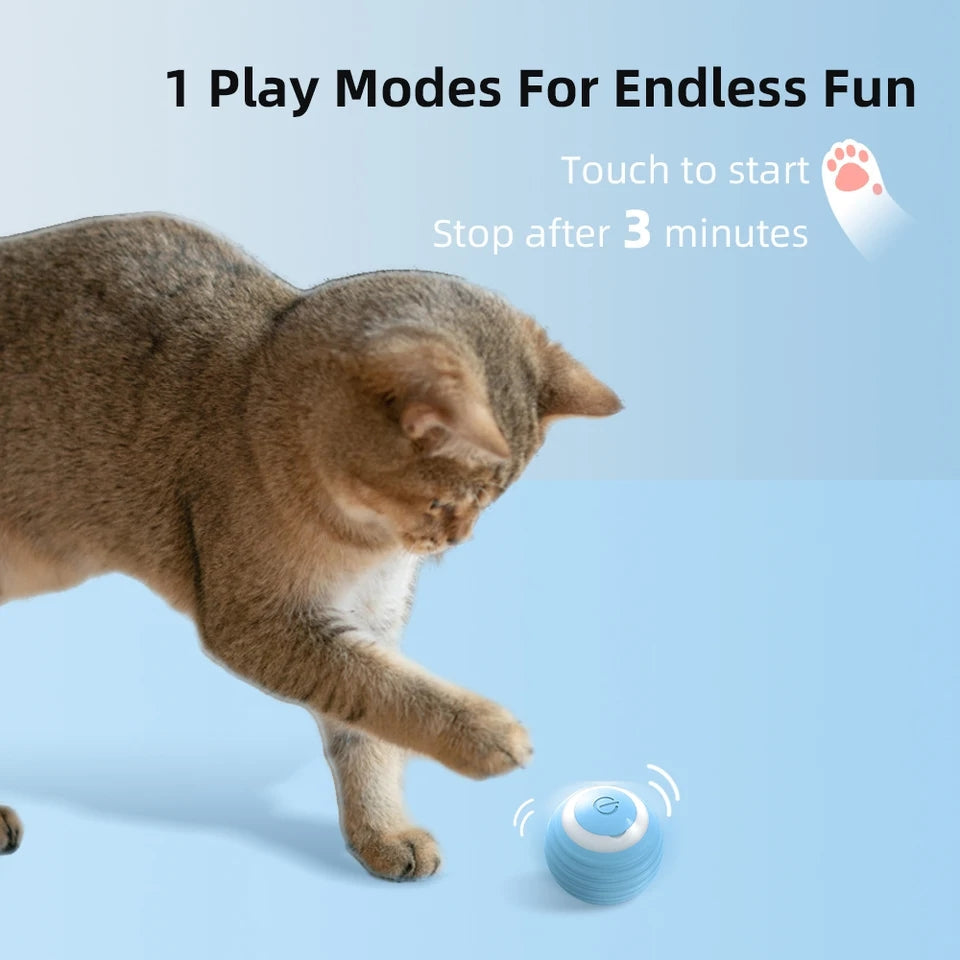 Cat Interactive Ball - PP38 - PetsLoveStory®