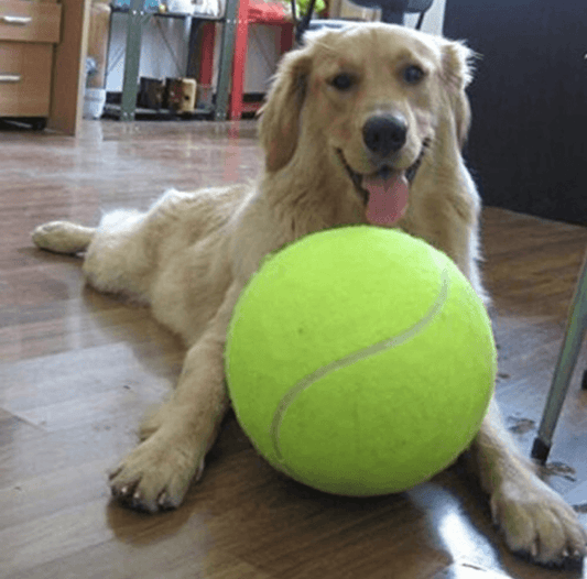Giant Tennis Ball Toy for Pets 9.5" (24cm) - PetsLoveStory®