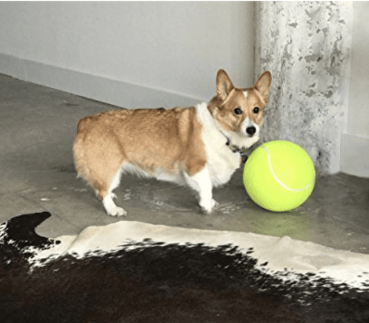 Giant Tennis Ball Toy for Pets 9.5" (24cm) - PetsLoveStory®