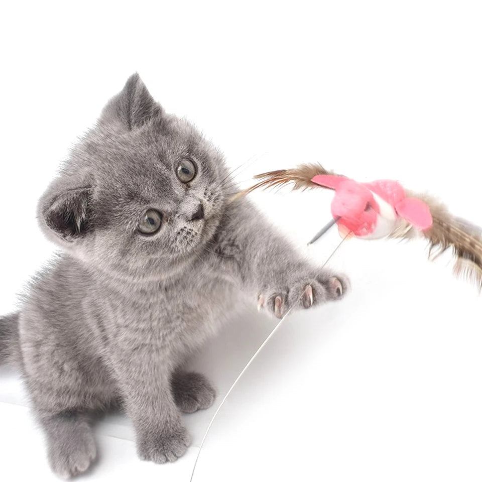 Automatic Electric Rotating cat Toy - PetsLoveStory®