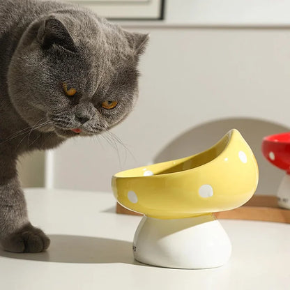 Cat Bowls Raised Cat Food Bowls - PetsLoveStory®