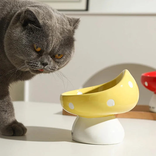 Cat Bowls Raised Cat Food Bowls - PetsLoveStory®