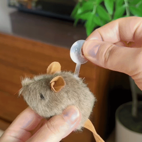 Cat mouse toy - PetsLoveStory®