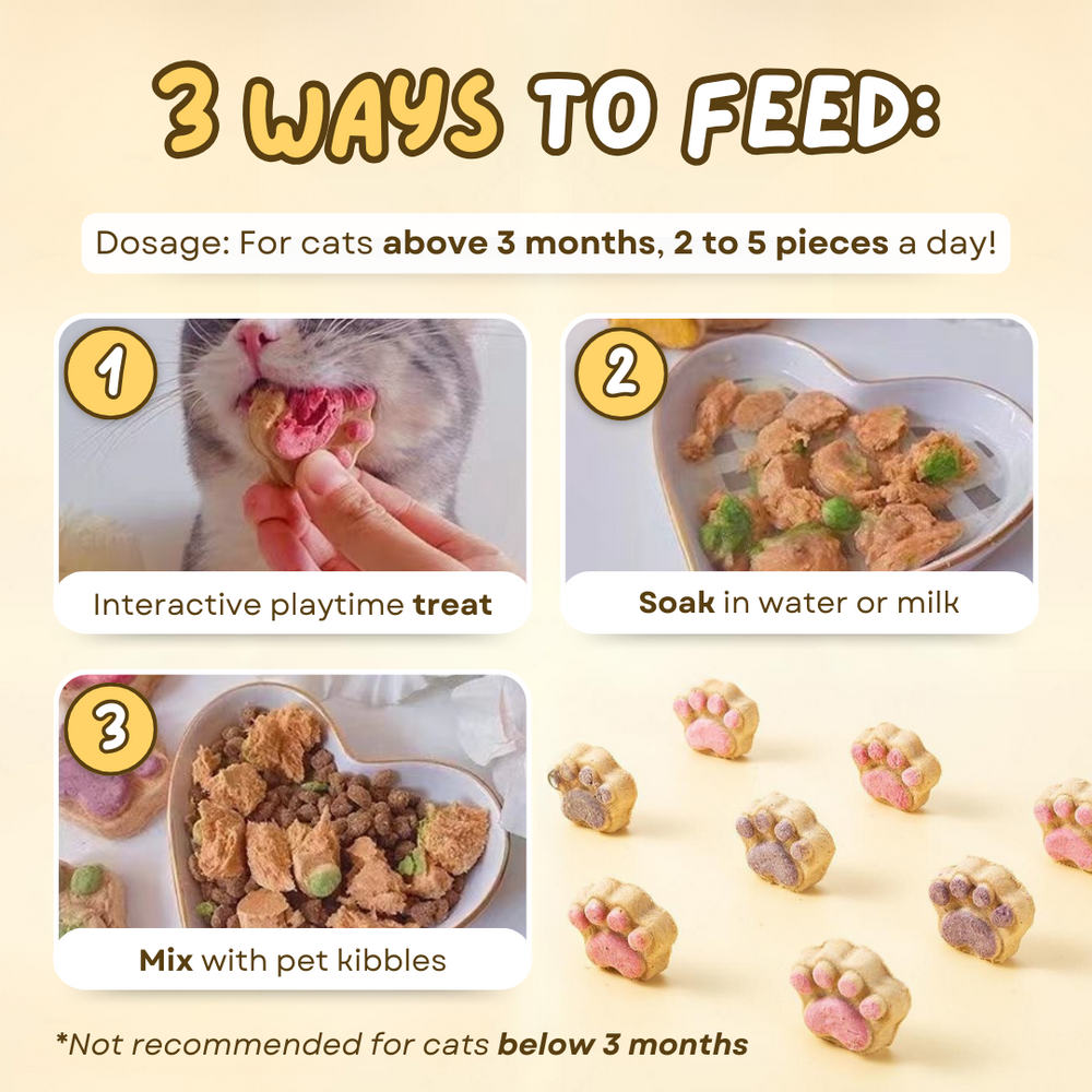 Paw Cat Treats (5 PCS) - PetsLoveStory®