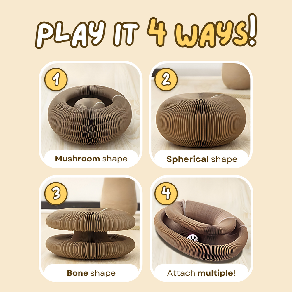 Cat Ball Toy - PetsLoveStory®