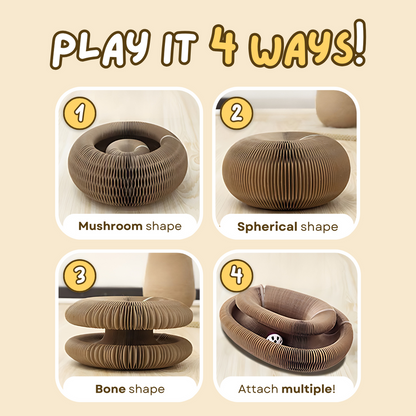 Cat Ball Toy - PetsLoveStory®