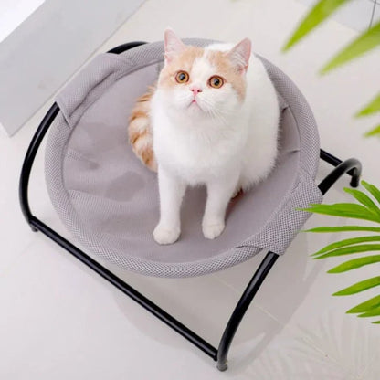 Floor Cat Hammock-With Stand - PetsLoveStory®