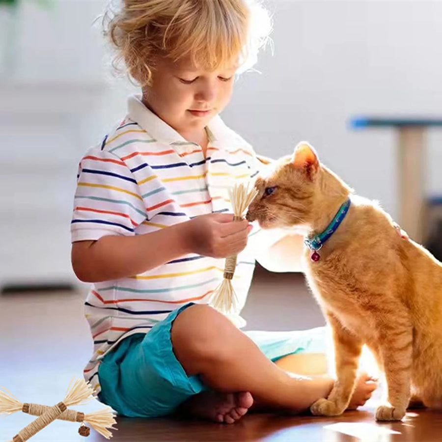 Cat Toys Silvervine Chew Stick - PP18 - PetsLoveStory®