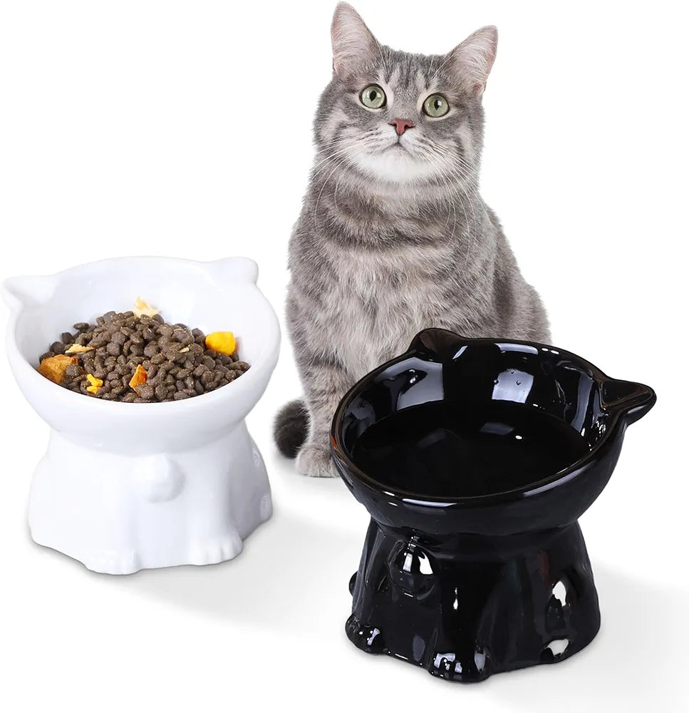 2pcs Ceramic Elevated Cat Bowls for Indoor Cats - PetsLoveStory®