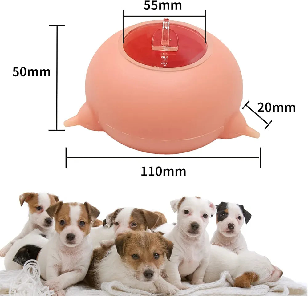 3 Pacifiers Puppy Kitten Silicone Feeder - PetsLoveStory®