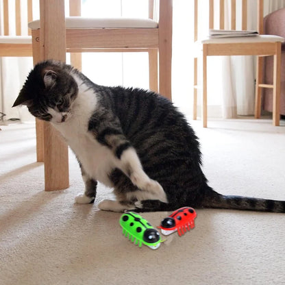 Electronic Cat Toy Cat Interactive Toys for Indoor - PetsLoveStory®