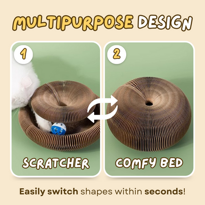 Cat Ball Toy - PetsLoveStory®