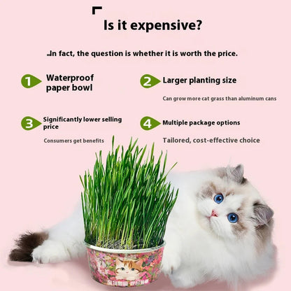 Organic Cat Grass - PetsLoveStory®