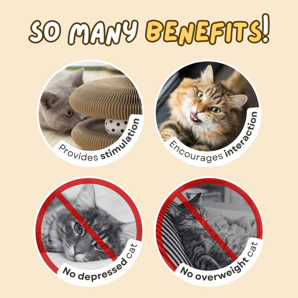 Cat Ball Toy - PetsLoveStory®