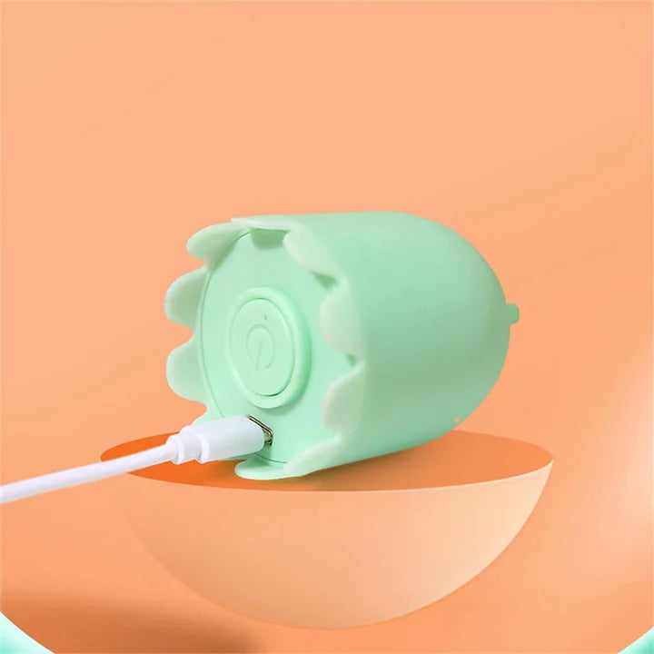 Cat Wand Toy Automatic Silicone Tail Teaser Toy 2 In 1 - PetsLoveStory®