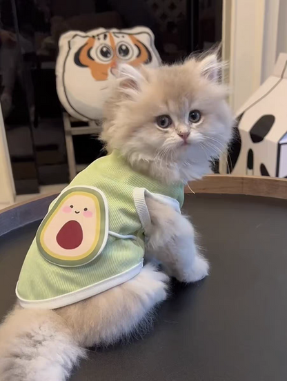 Avocado Summer Cool Vest - PetsLoveStory®