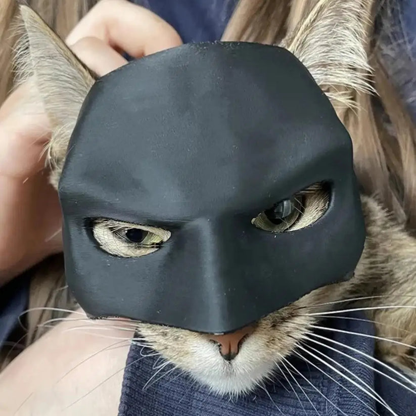 CatMan (Batman Mask For Cats) - PetsLoveStory®